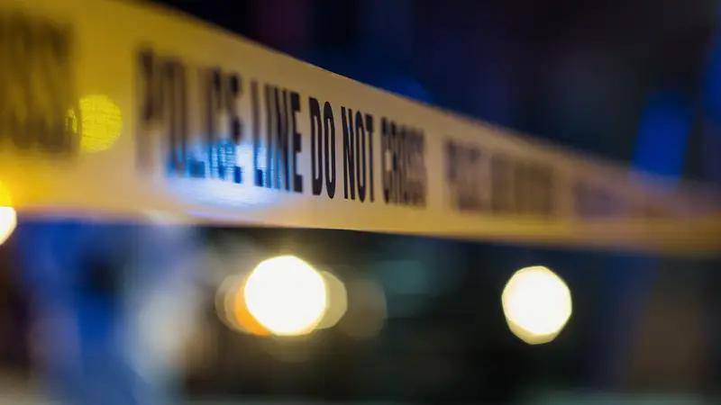 dreamstime s 291034748